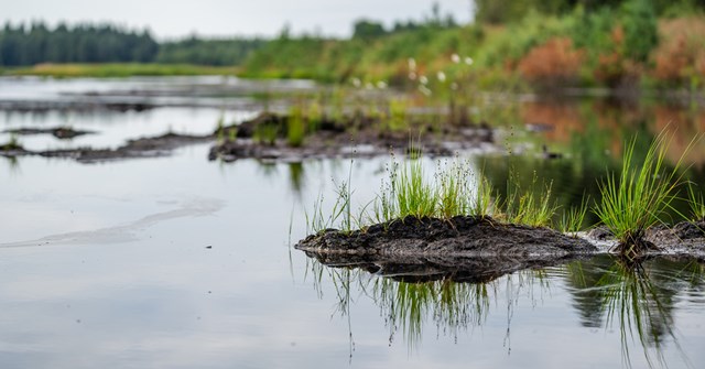 The surroundings of Isosuo in Ylikiiminki, Oulu.