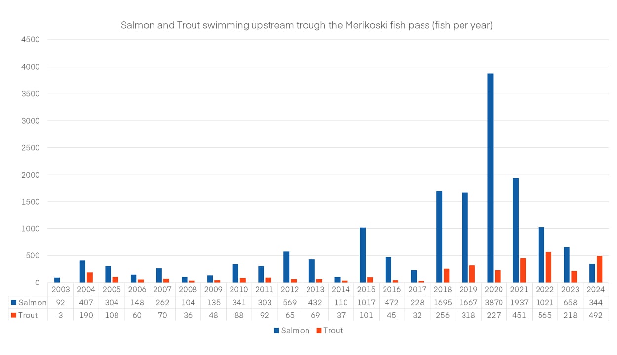 Merikoski_fishpass_table.jpg