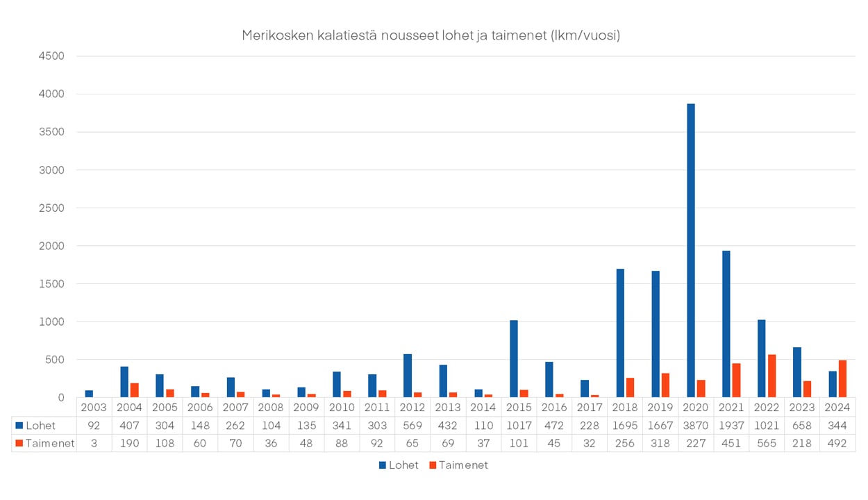 Merikoski_kalatie_taulukko.jpg