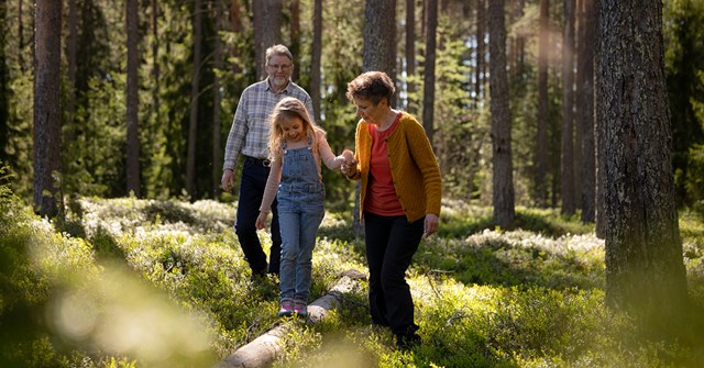 Grandparents and grandchild on a walk in a sunny forest.