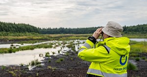 Oulun Energian työntekijä katselee vesilintuja Kuikkasuolla. 