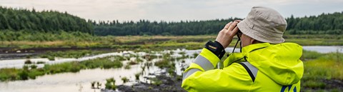 Oulun Energian työntekijä kiikaroi vesilintuja Kuikkasuolla. 