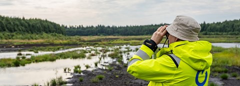 Oulun Energian työntekijällä on kiikarit kädessä ja hän katsoo vesilintuja Kuikkasuolla. 