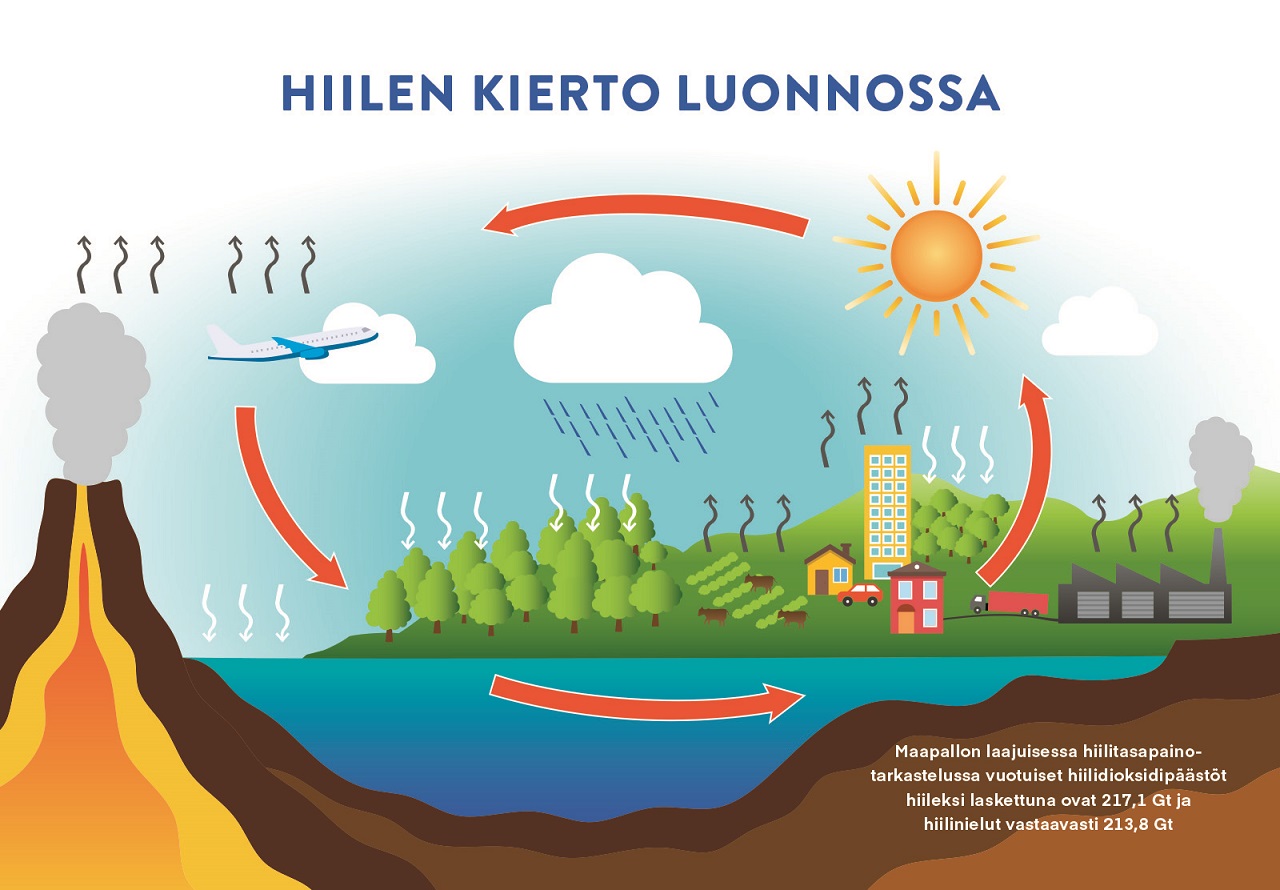 Hiilinielu_infografiikka_1_Oulun Energia Ympäristötili.jpg