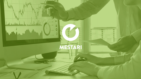 Mestari OE360-service.